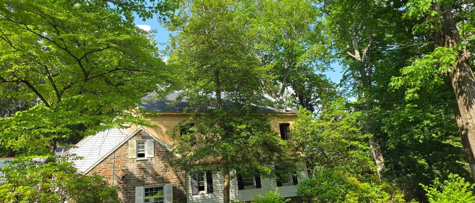 Merion Station home and roofline viewed through mature trees