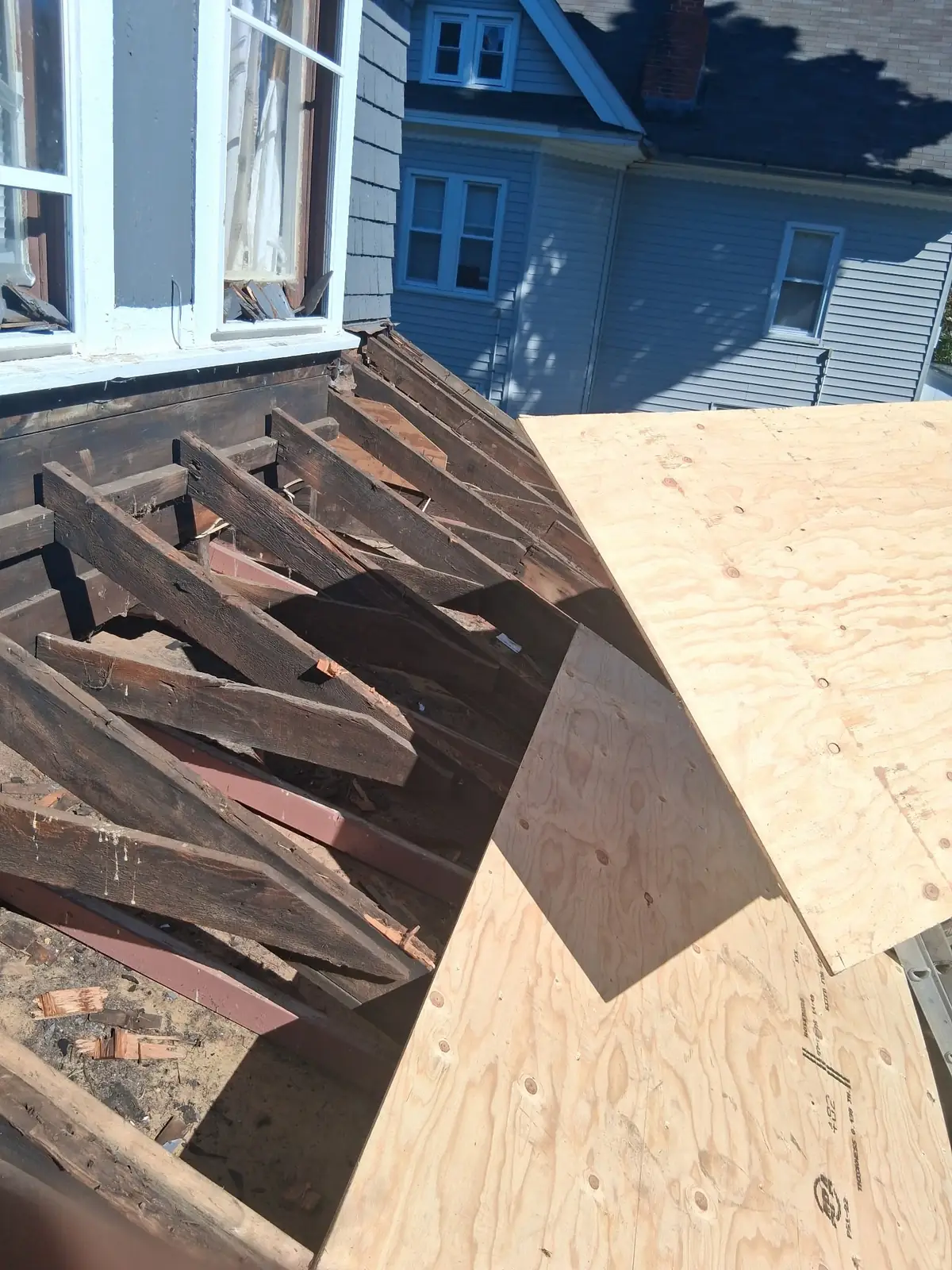 Exposed roof framing beside new plywood during the Salem roof replacement